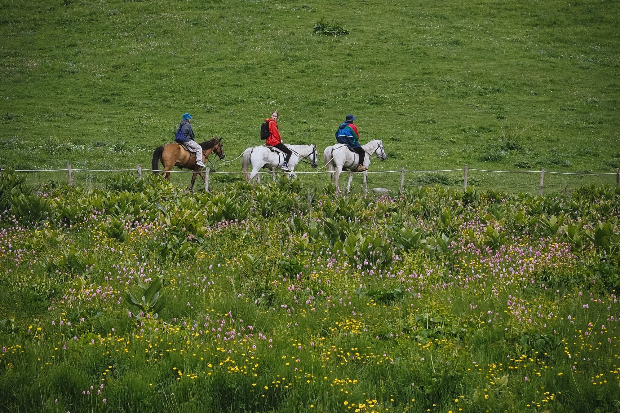 Cabalgatas